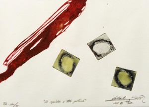 Gallinota